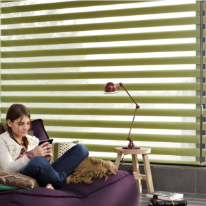 Roller Evolution Duo